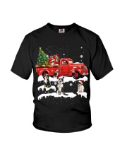 Australian Shepherd Riding Red Truck Xmas Merry Christmas Youth T-Shirt tile