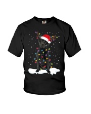 Black Labrador Retriever Christmas Santa Reindeer Dog Gifts Youth T-Shirt tile