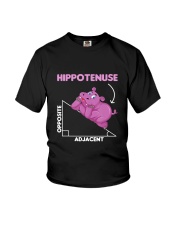 Funny Hippo Math Lover Students Gift Hippo Youth T-Shirt tile