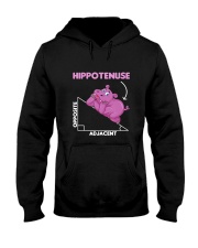 Funny Hippo Math Lover Students Gift Hippo Hooded Sweatshirt tile