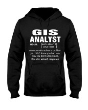 HOODIE GIS ANALYST Hooded Sweatshirt thumbnail