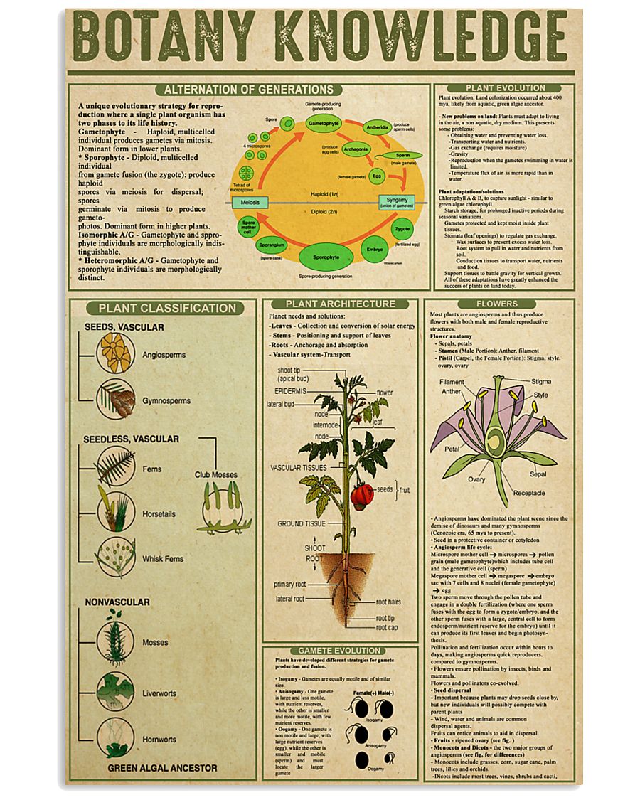 BOTANY KNOWLEDGE 24x36 Poster