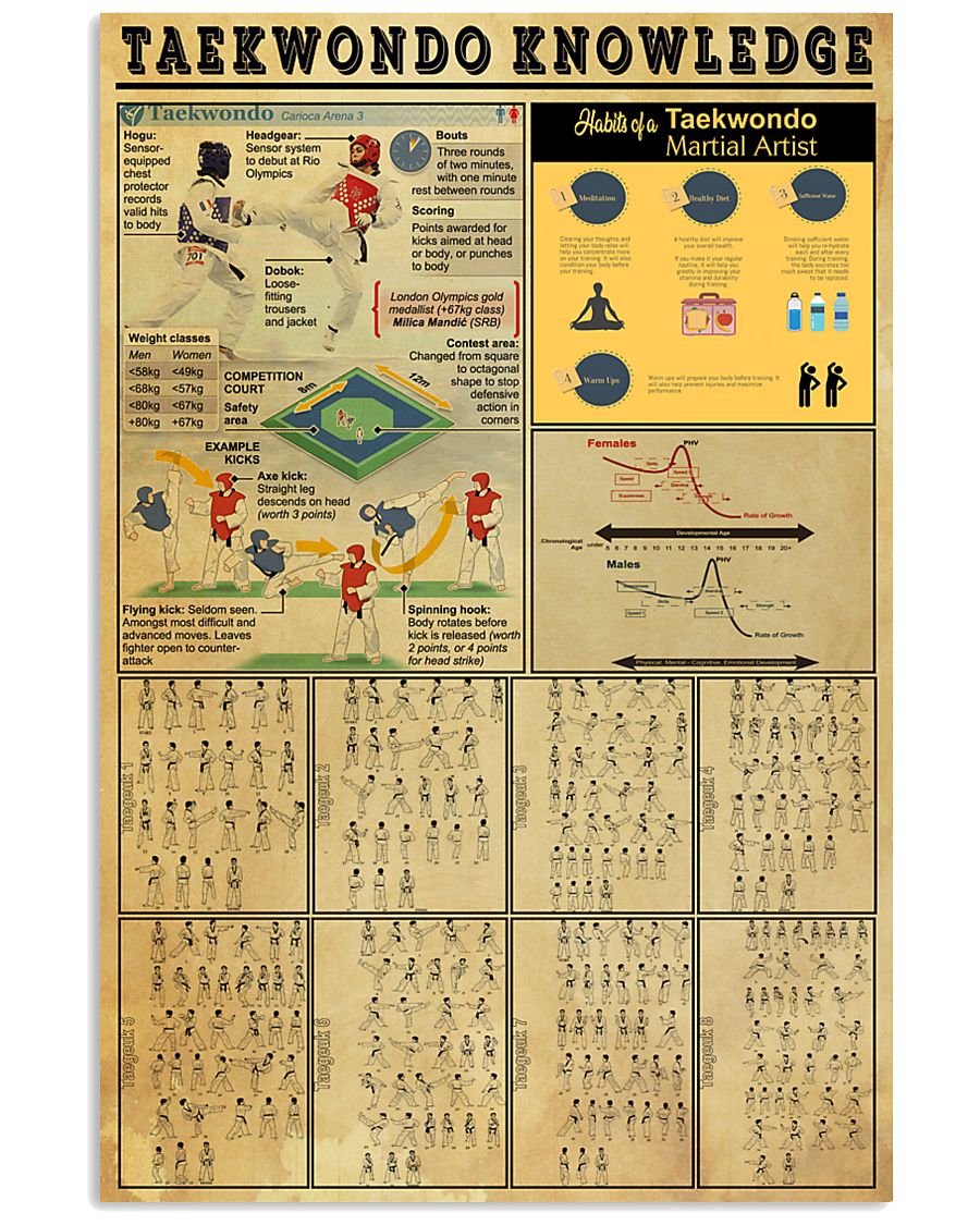 TAEKWONDO KNOWLEDGE 24x36 Poster