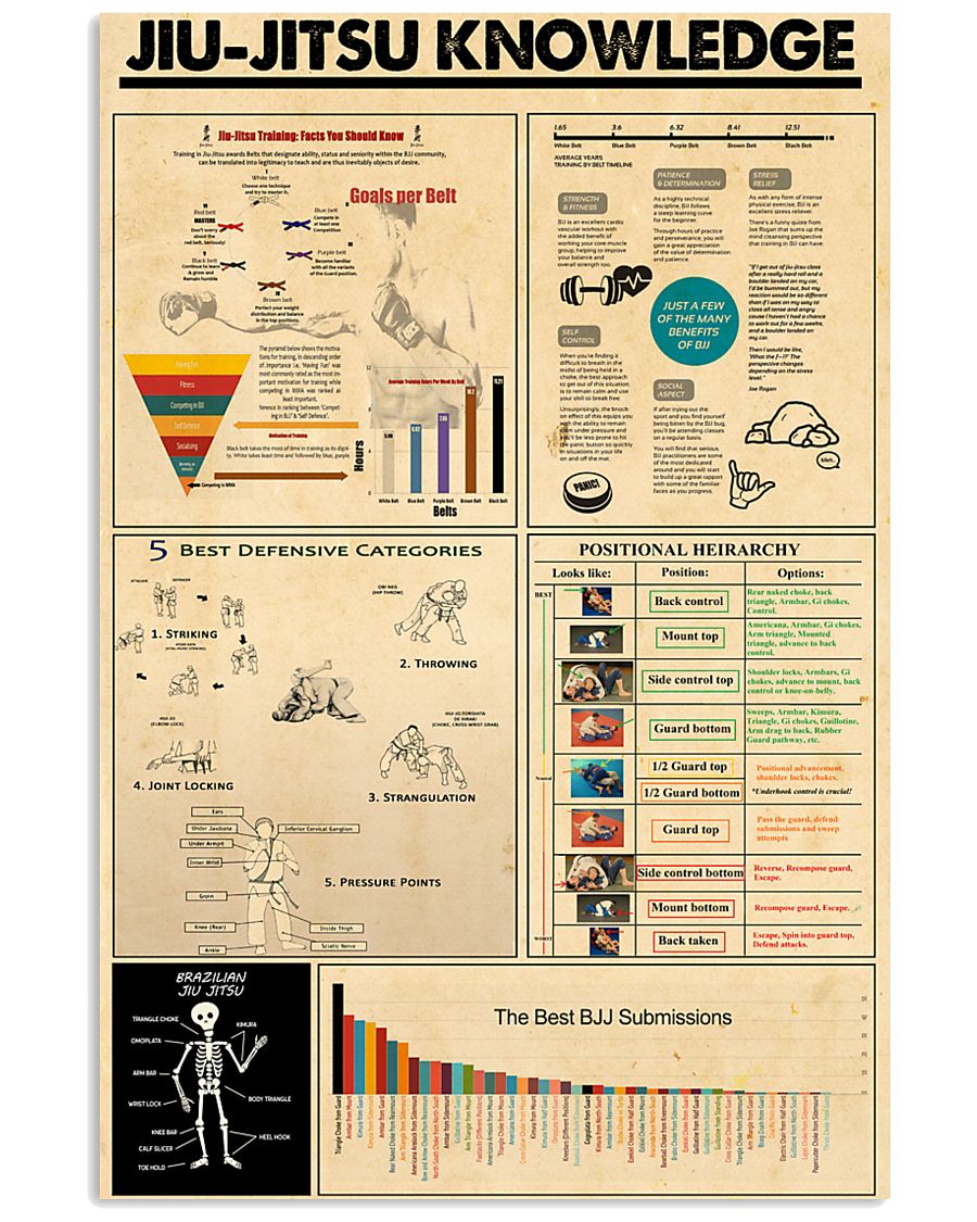 JIU-JITSU KNOWLEDGE 24x36 Poster