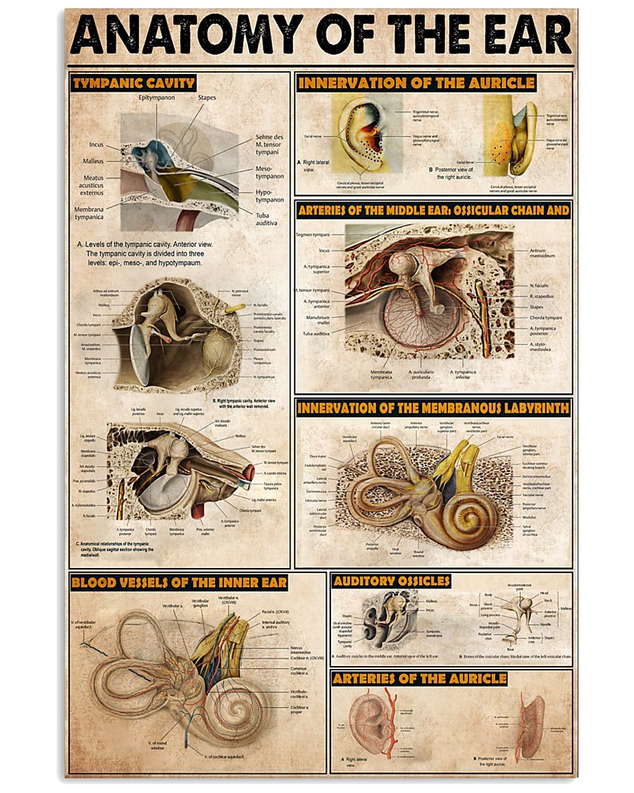 EAR 11x17 Poster
