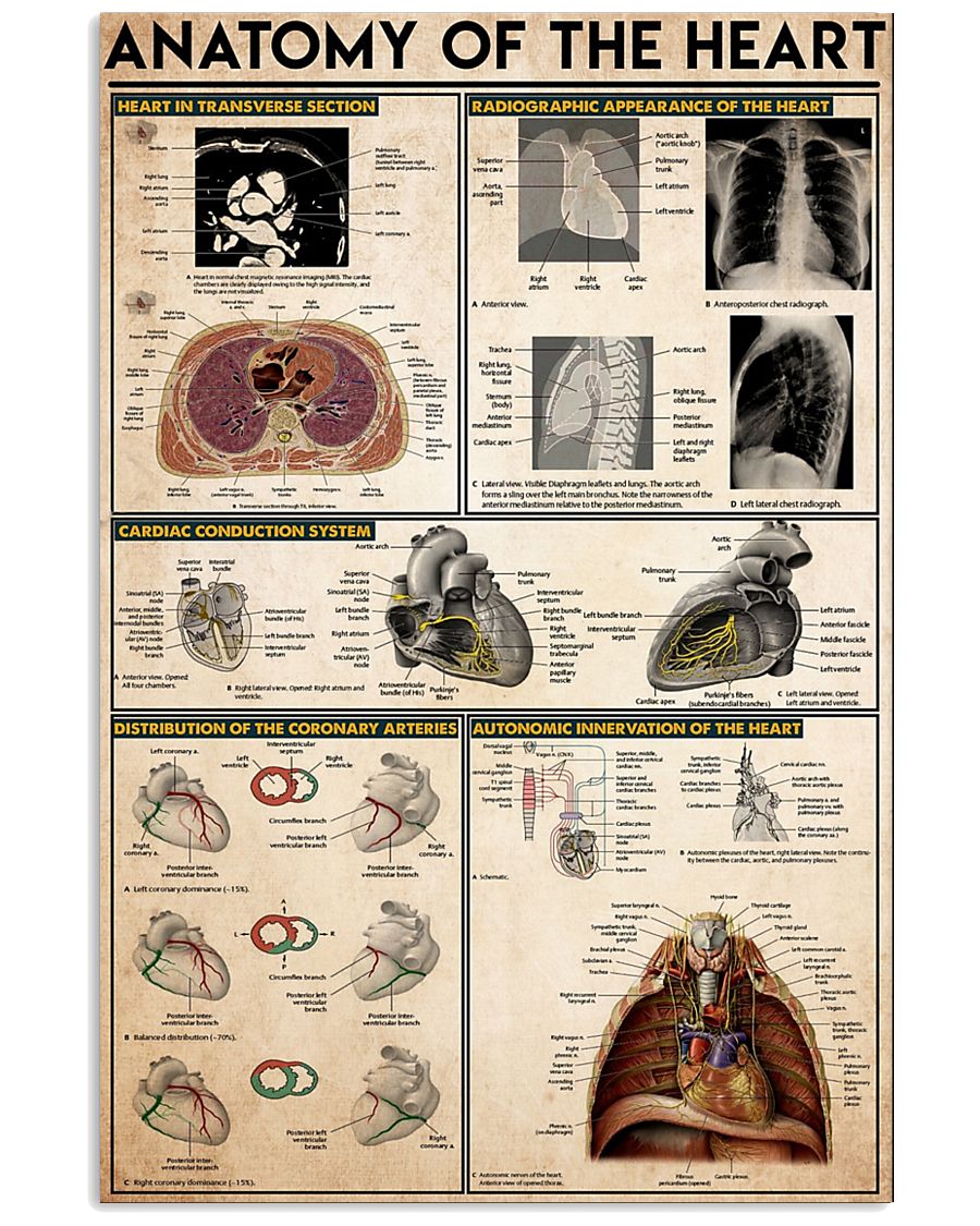 HEART 11x17 Poster