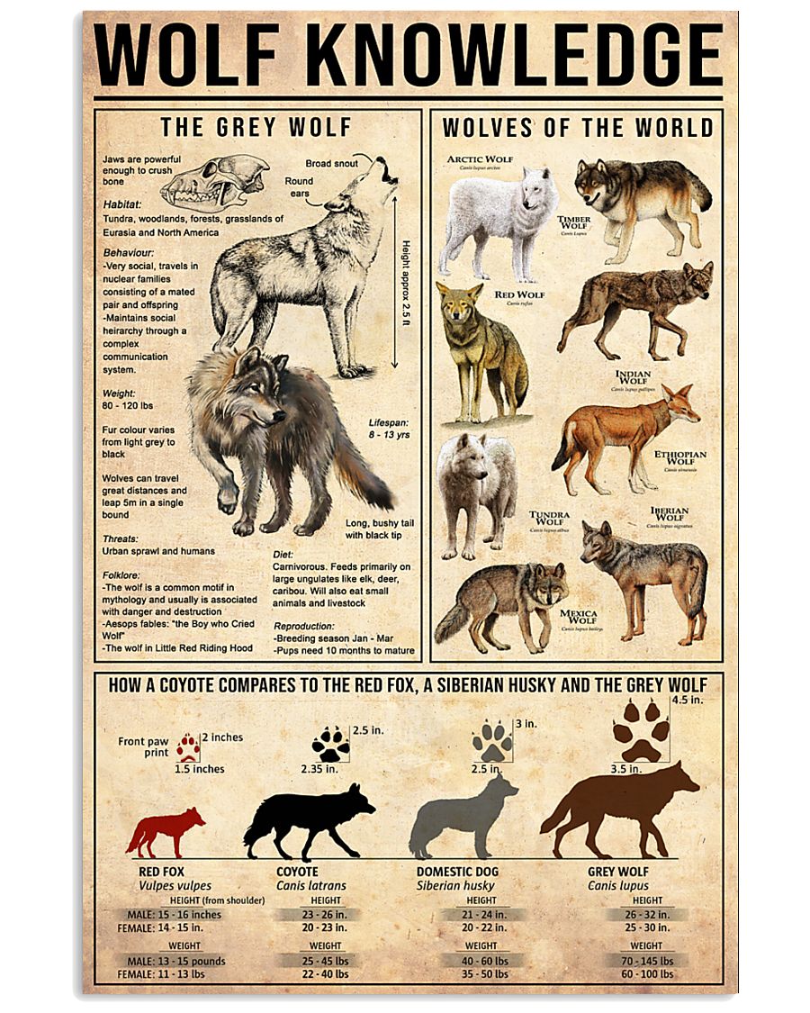WOLF 11x17 Poster