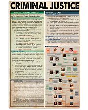 CRIMINAL JUSTICE 24x36 Poster front