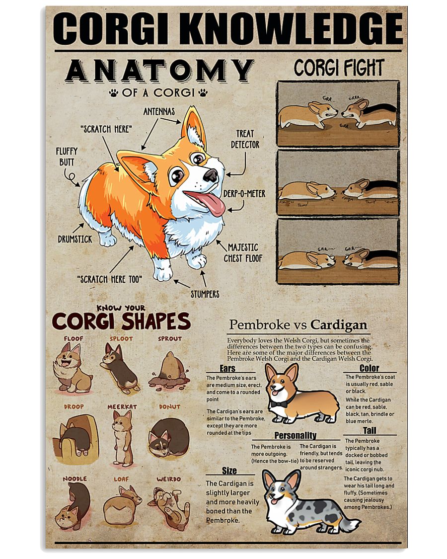 CORGI 11x17 Poster