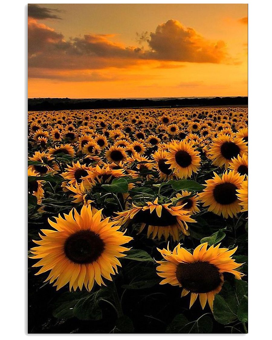 Limited Edition 24x36 Poster