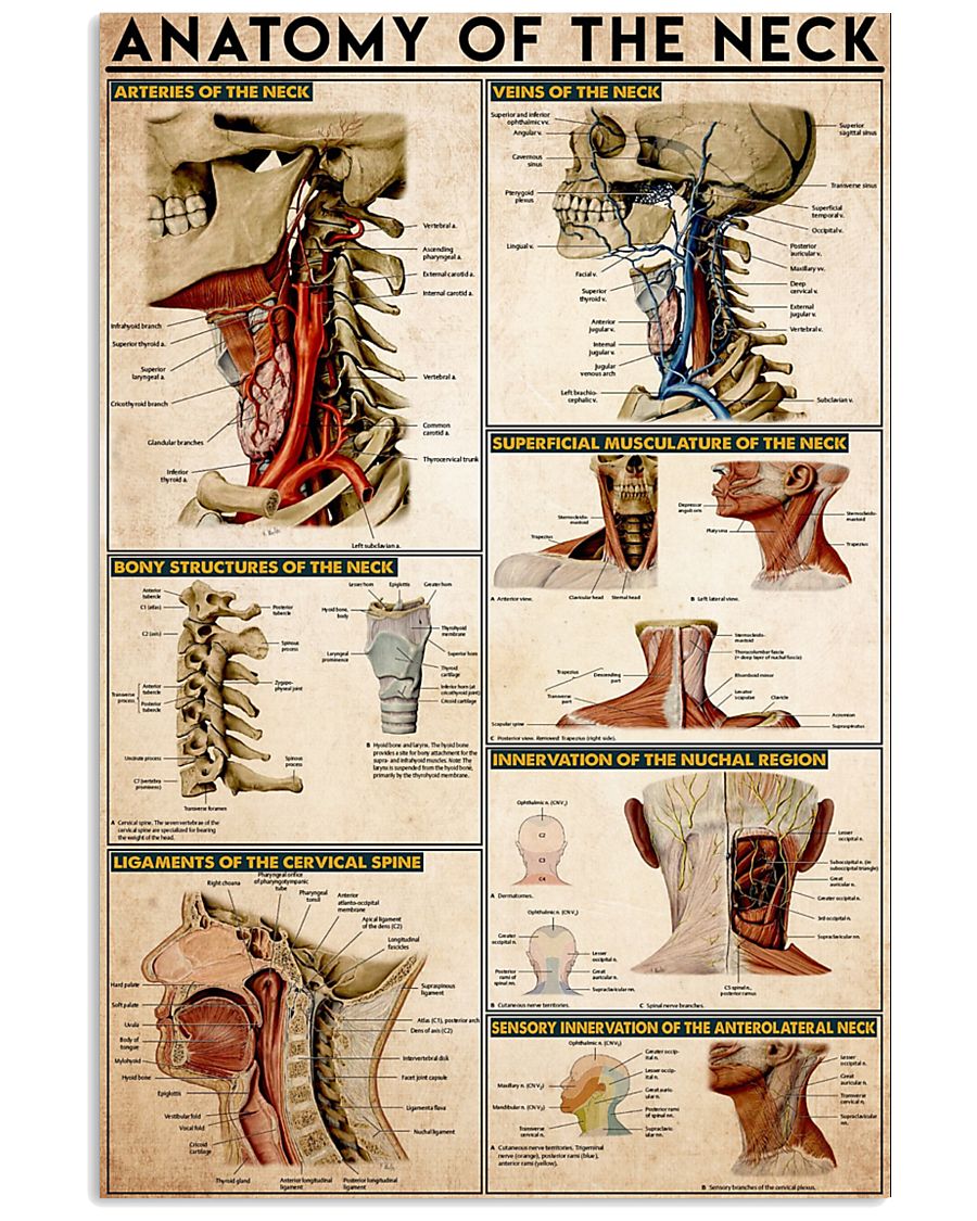 NECK 11x17 Poster