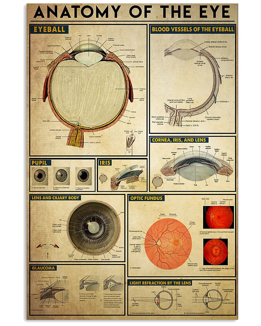 EYE 11x17 Poster