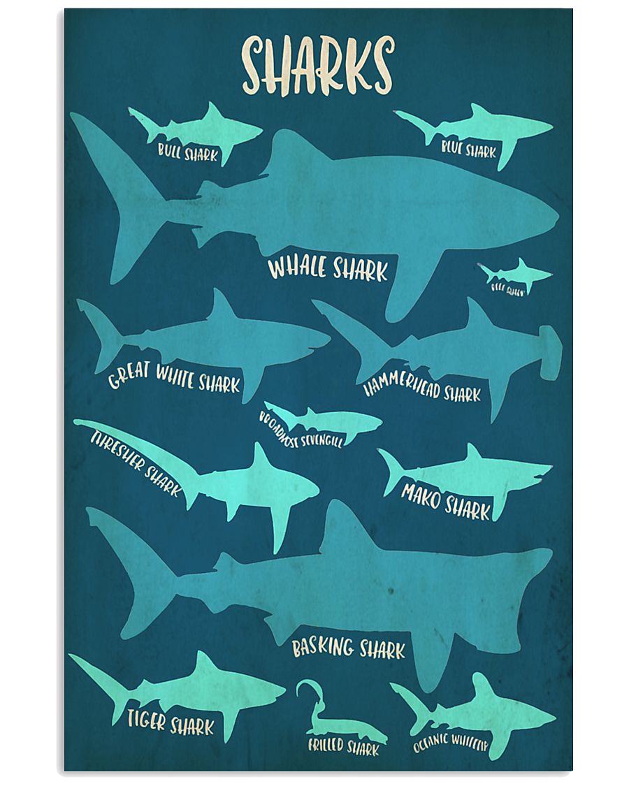 Types of Sharks 11x17 Poster