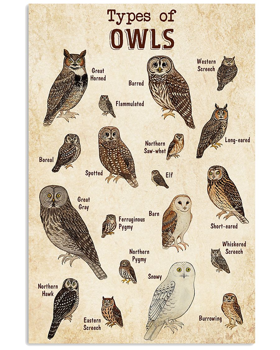 Owl Knowledge 11x17 Poster