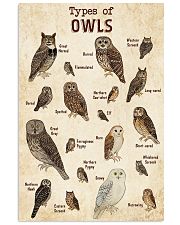 Owl Knowledge 11x17 Poster front