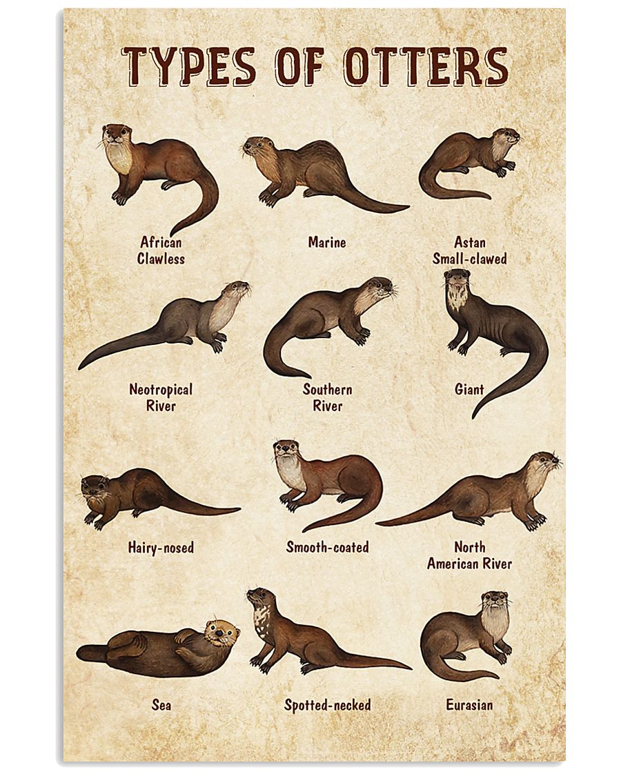 Otter Knowledge 11x17 Poster