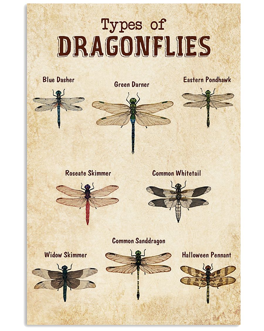Dragonfly Knowledge 11x17 Poster