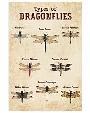 Dragonfly Knowledge 11x17 Poster front