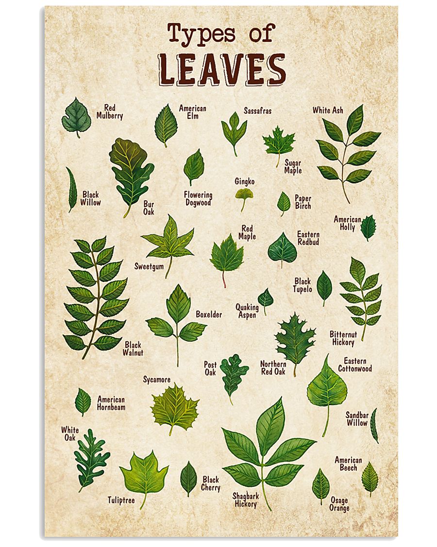 Garden knowledge 11x17 Poster