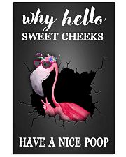 Why hello sweet cheeks have a nice poop 11x17 Poster front