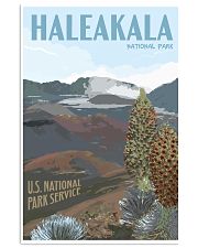 HALEAKALA NATIONAL PARK 16x24 Poster front