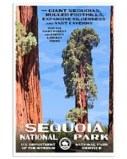 SEQUOIA 11x17 Poster front