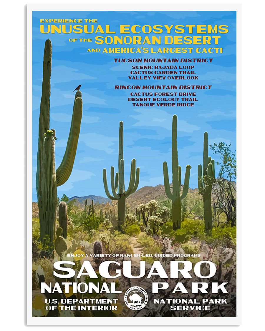 SAGUARO 11x17 Poster