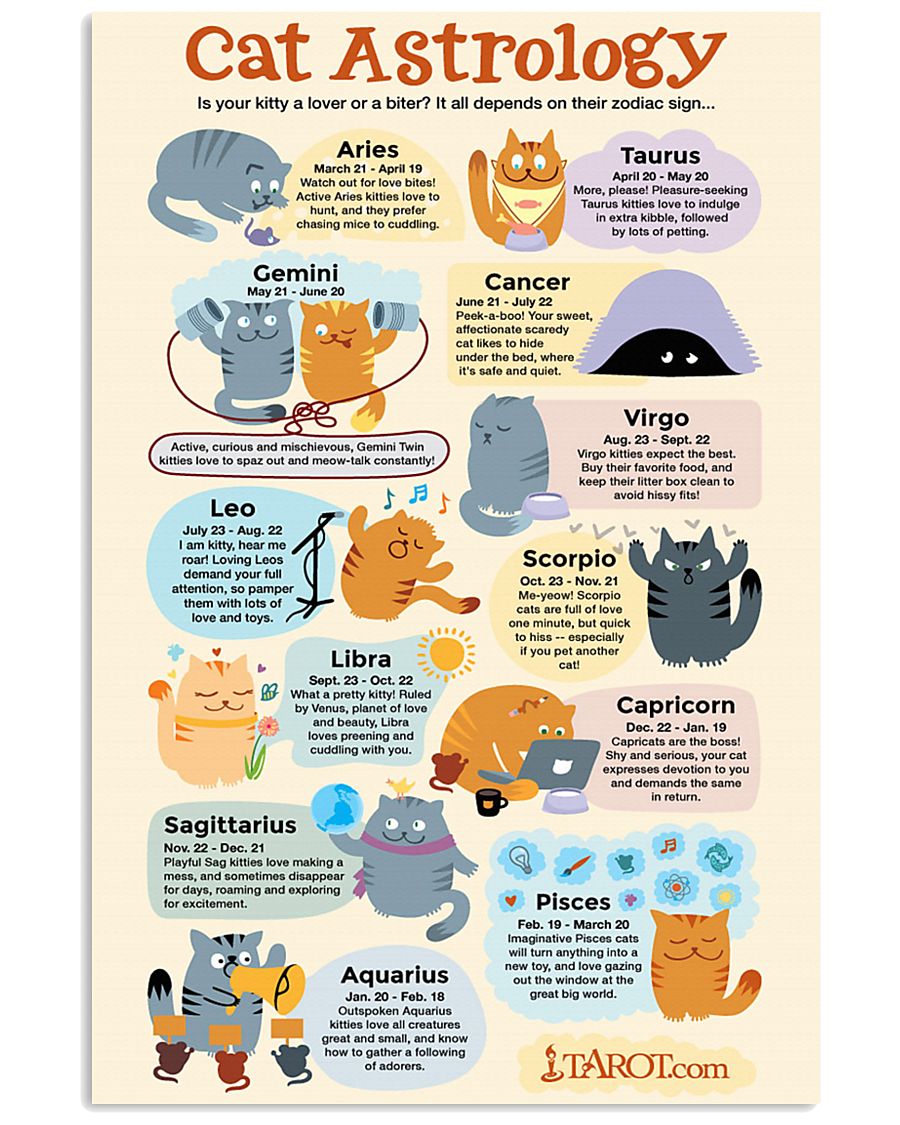 CAT ASTROLOGY 11x17 Poster