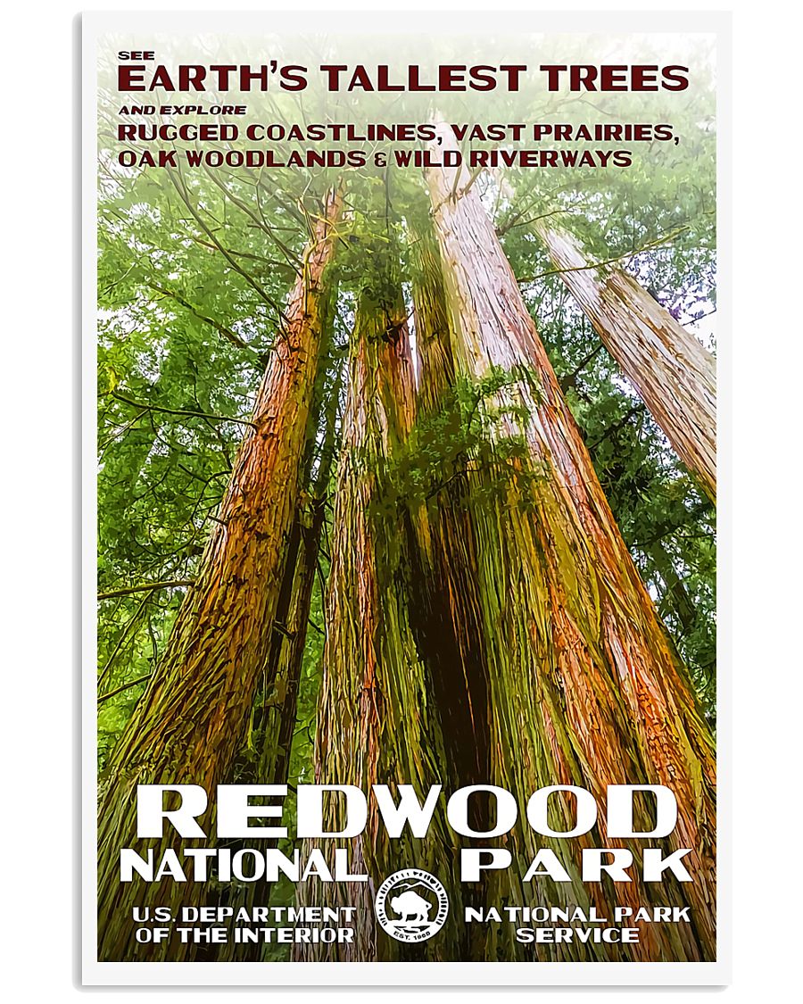 REDWOOD 11x17 Poster
