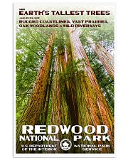REDWOOD 11x17 Poster front