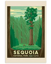 SEQUOIA 16x24 Poster front