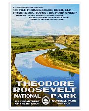THEODORE ROOSEVELT 11x17 Poster front