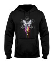 RAINBOW SPHYNX CAT Hooded Sweatshirt thumbnail