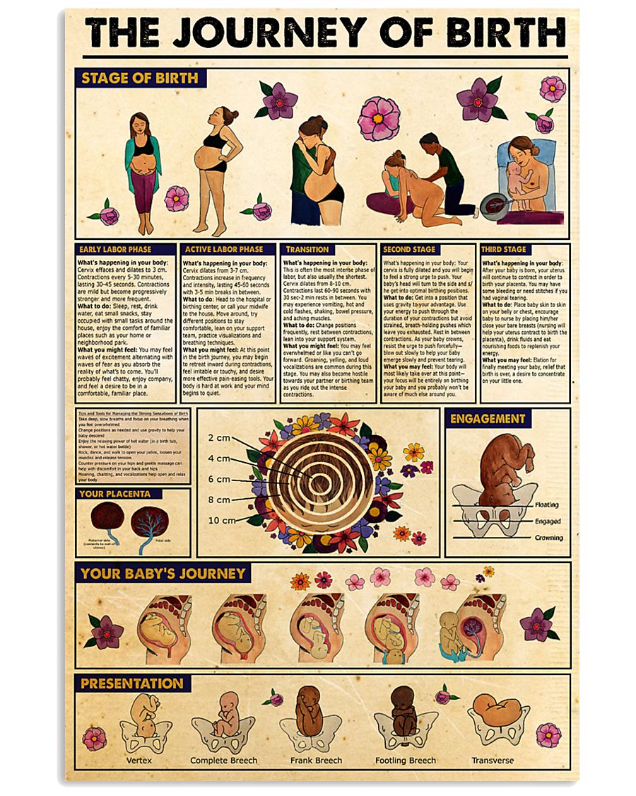 Journey-of-birth 11x17 Poster