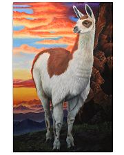 Llama 24x36 Poster front