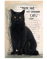 Black Cat No Ordinary 11x17 Poster front