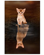 Abyssinian Cat Reflection Poster 1112 11x17 Poster front