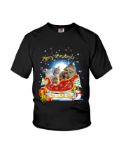 HEMERA - Maine Coon Sleigh - 1511 - 72 Youth T-Shirt thumbnail