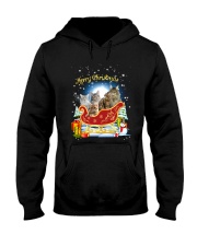 HEMERA - Maine Coon Sleigh - 1511 - 72 Hooded Sweatshirt front