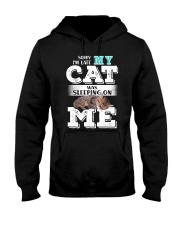 Cat was sleeping on me Hooded Sweatshirt thumbnail