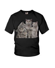 British Shorthair Five Youth T-Shirt thumbnail
