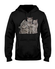 British Shorthair Five Hooded Sweatshirt thumbnail