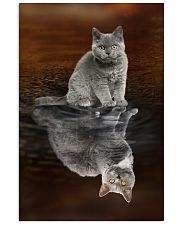 Selkirk Rex Cat Reflection Poster 1112 11x17 Poster front