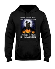 Black cat prowl 3007 Hooded Sweatshirt thumbnail