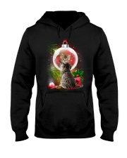 Cat Looking Ornament Christmas Hooded Sweatshirt thumbnail