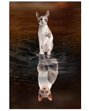 Cornish Rex Cat Reflection Poster 1112 11x17 Poster front