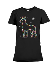 Doberman Pinscher Dog Christmas Shirt Premium Fit Ladies Tee thumbnail