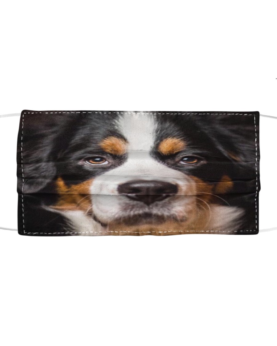 Bernese Mountain Limited Edition Cloth face mask