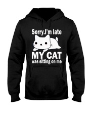 Cats Hooded Sweatshirt thumbnail