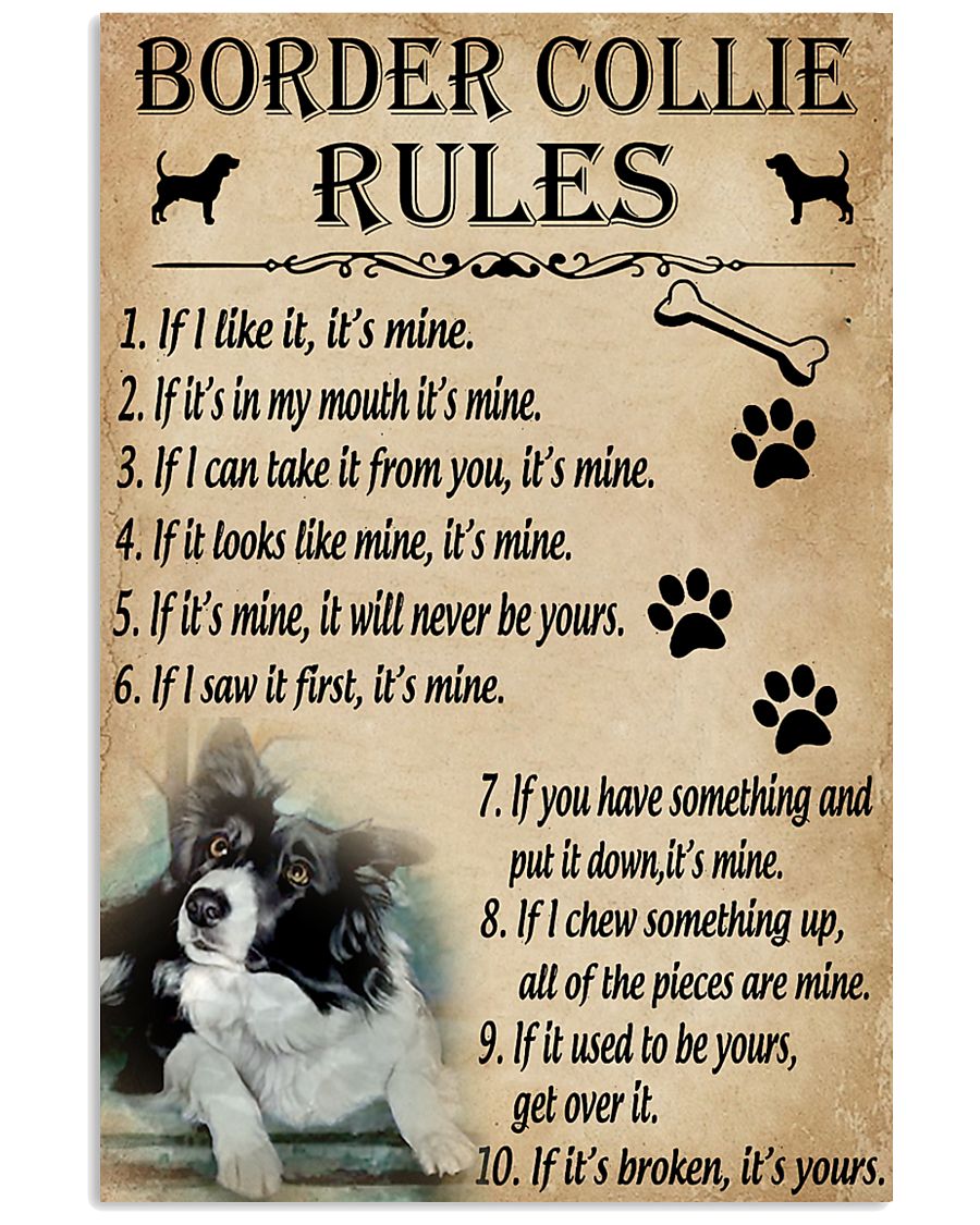 Funny Rules For Your Dog Border Collie 11x17 Poster